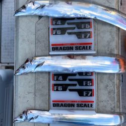 フィッシング　キッタカ 釣果