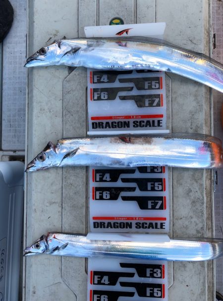 フィッシング　キッタカ 釣果