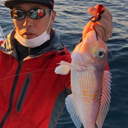 あみや渡船 JIGBOY 釣果