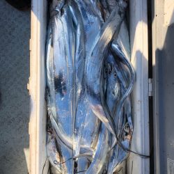 フィッシング キッタカ 釣果