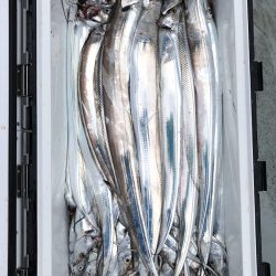 フィッシング キッタカ 釣果