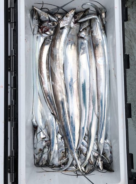 フィッシング キッタカ 釣果