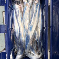 フィッシング キッタカ 釣果