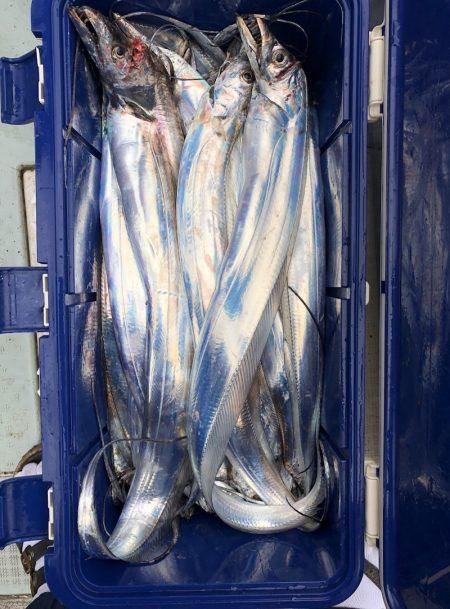 フィッシング キッタカ 釣果