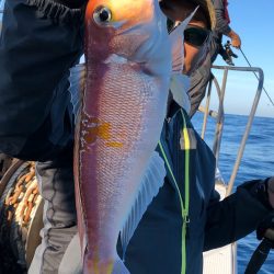 あみや渡船 JIGBOY 釣果