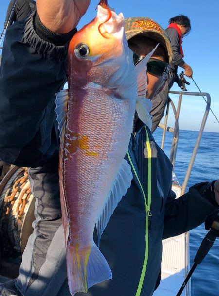 あみや渡船 JIGBOY 釣果