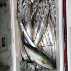 フィッシング キッタカ 釣果