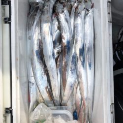 フィッシング キッタカ 釣果