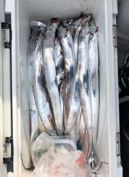 フィッシング キッタカ 釣果