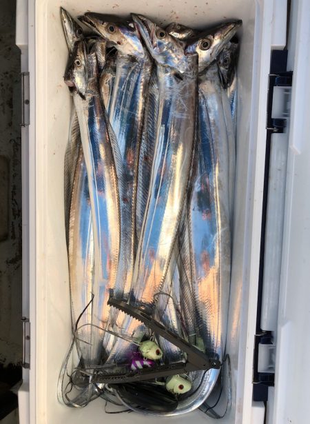 フィッシング キッタカ 釣果