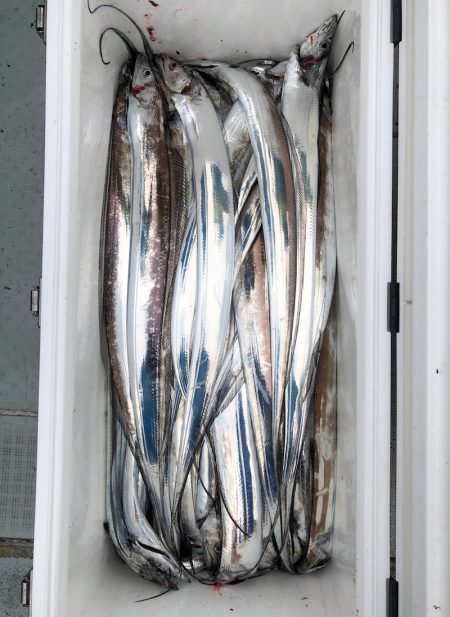 フィッシング キッタカ 釣果