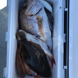 フィッシング キッタカ 釣果