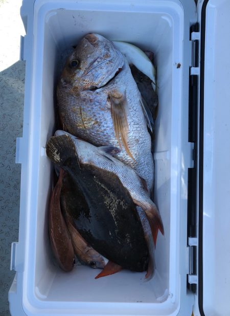 フィッシング キッタカ 釣果