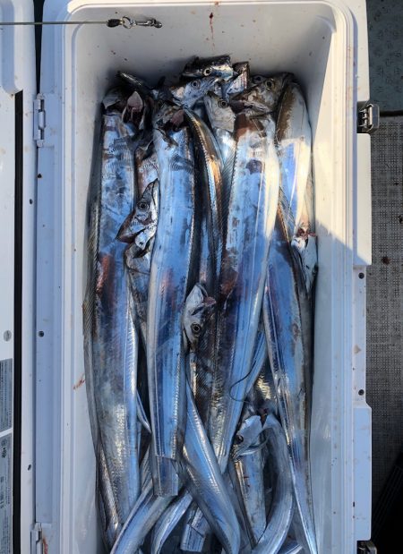 フィッシング キッタカ 釣果