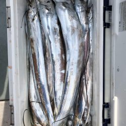 フィッシング キッタカ 釣果