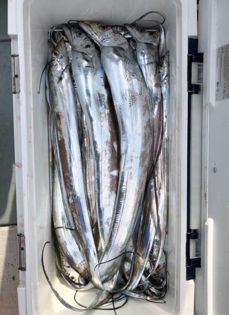 フィッシング キッタカ 釣果