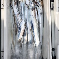 フィッシング キッタカ 釣果