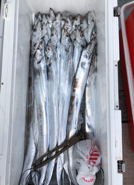 フィッシング　キッタカ 釣果