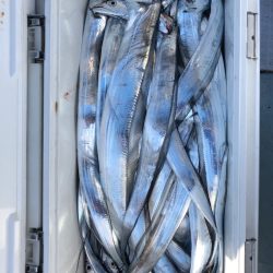 フィッシング キッタカ 釣果