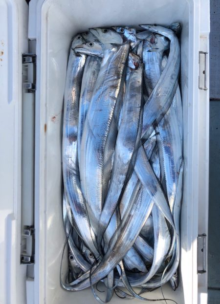 フィッシング キッタカ 釣果