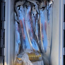 フィッシング キッタカ 釣果