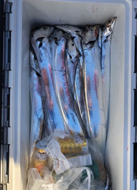 フィッシング キッタカ 釣果