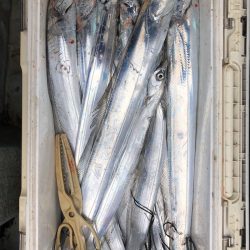 フィッシング キッタカ 釣果