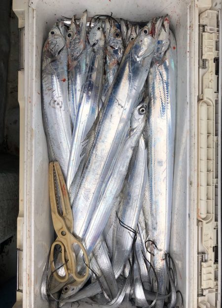 フィッシング キッタカ 釣果