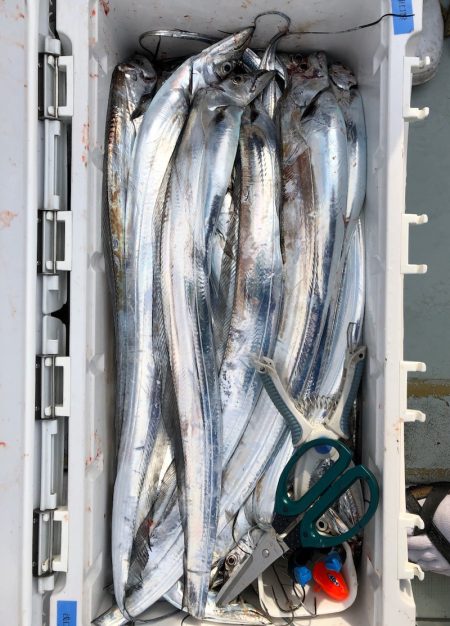 フィッシング キッタカ 釣果