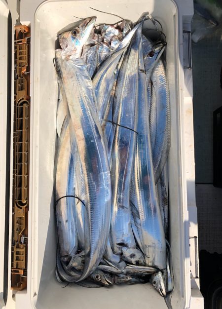 フィッシング キッタカ 釣果