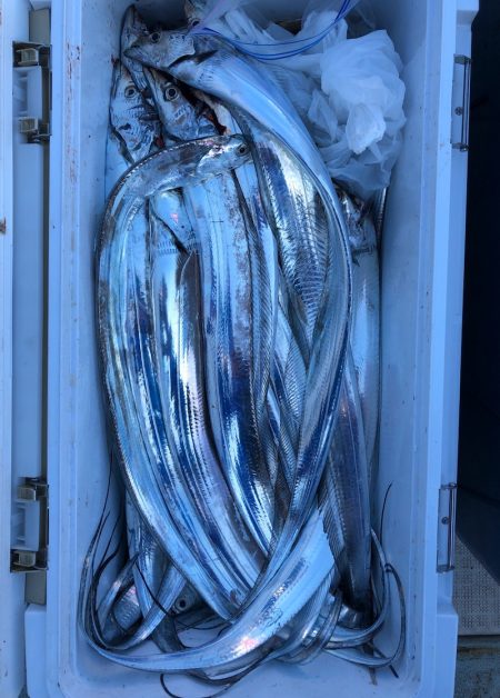 フィッシング キッタカ 釣果