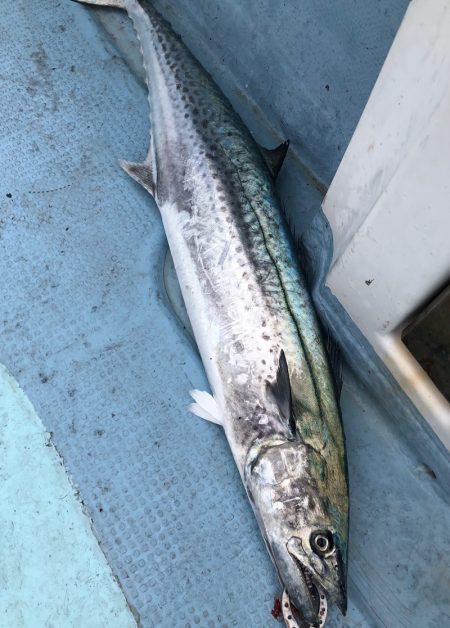 あみや渡船 JIGBOY 釣果