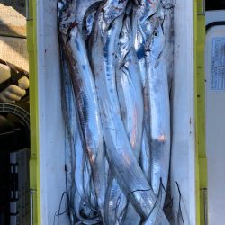 フィッシング キッタカ 釣果