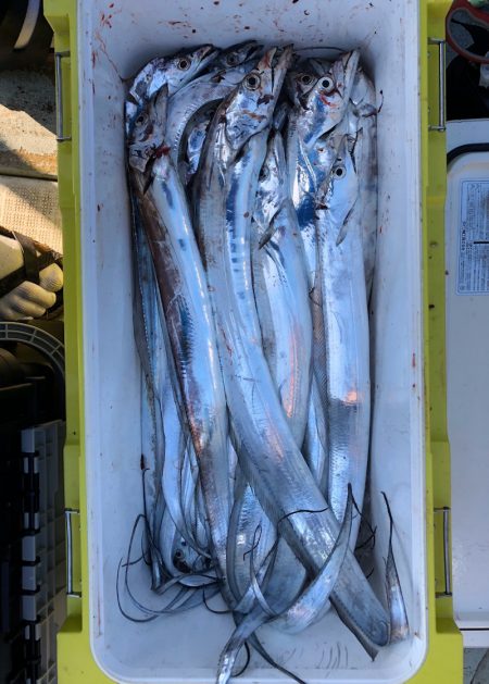 フィッシング キッタカ 釣果