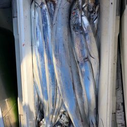 フィッシング キッタカ 釣果