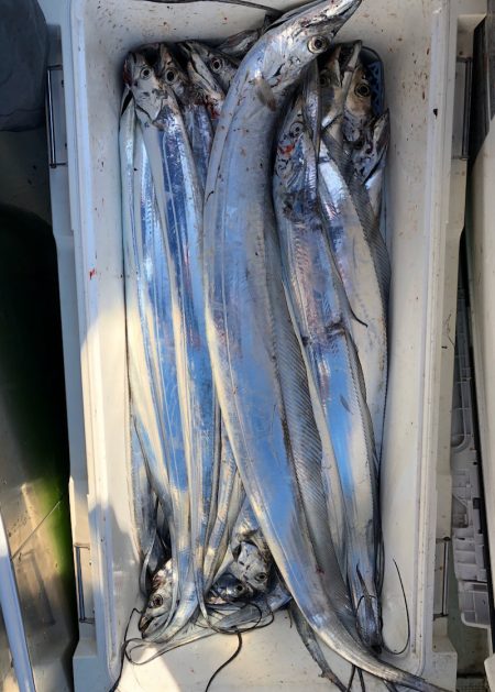 フィッシング キッタカ 釣果