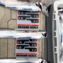 フィッシング キッタカ 釣果