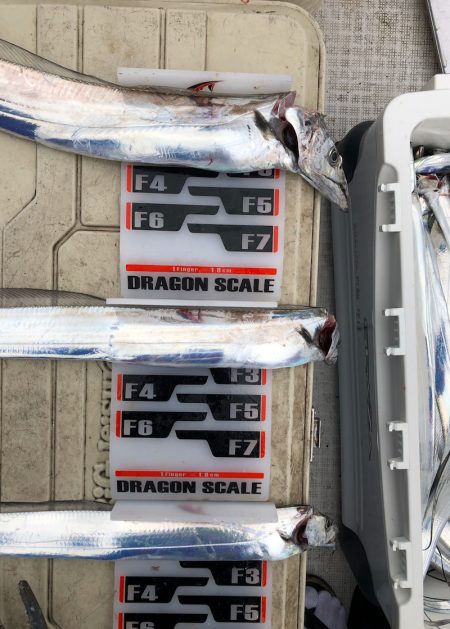 フィッシング　キッタカ 釣果