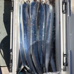 フィッシング キッタカ 釣果