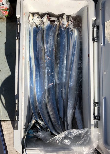 フィッシング キッタカ 釣果