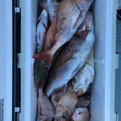 フィッシング キッタカ 釣果