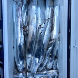 フィッシング キッタカ 釣果