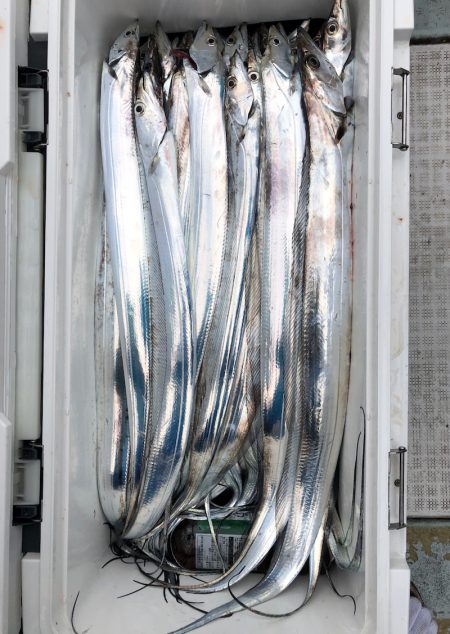 フィッシング キッタカ 釣果