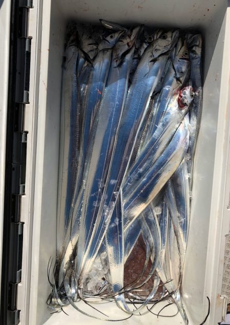 フィッシング キッタカ 釣果