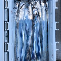 フィッシング　キッタカ 釣果