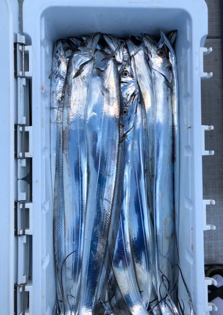 フィッシング　キッタカ 釣果