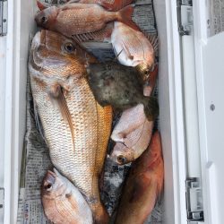 フィッシング　キッタカ 釣果