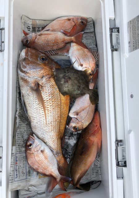 フィッシング　キッタカ 釣果