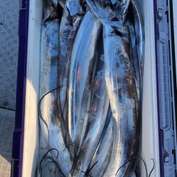 フィッシング キッタカ 釣果