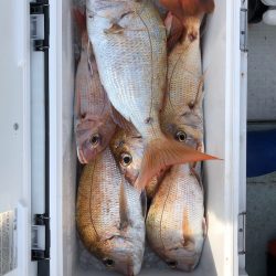 フィッシング キッタカ 釣果